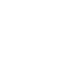 Library Icon